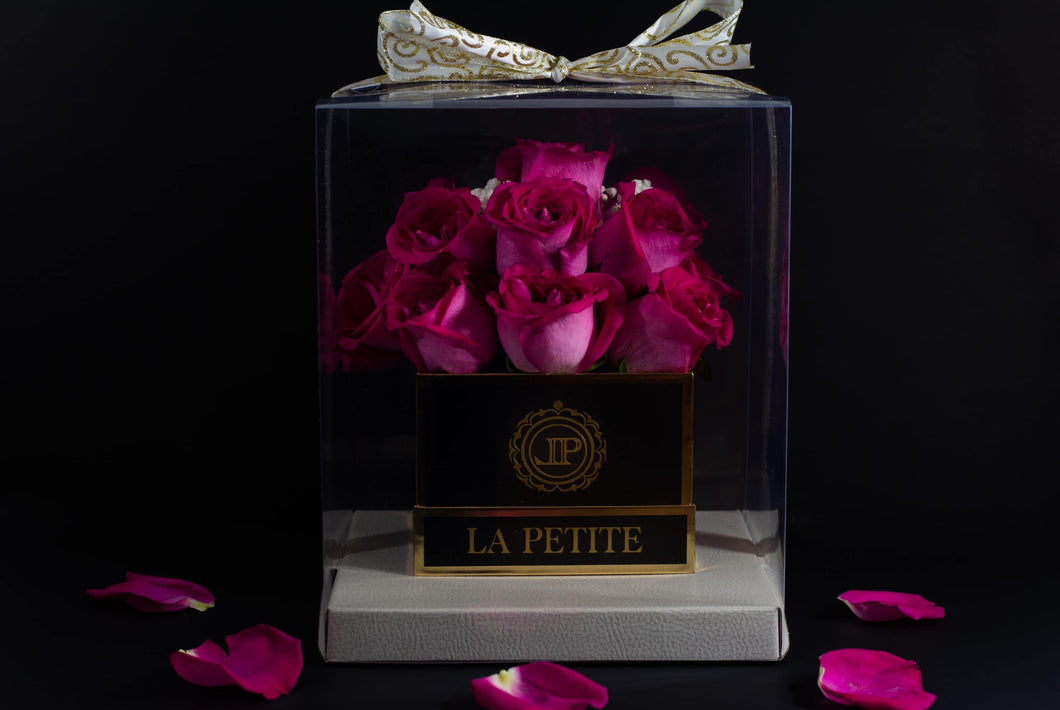 Elegance - La Petite